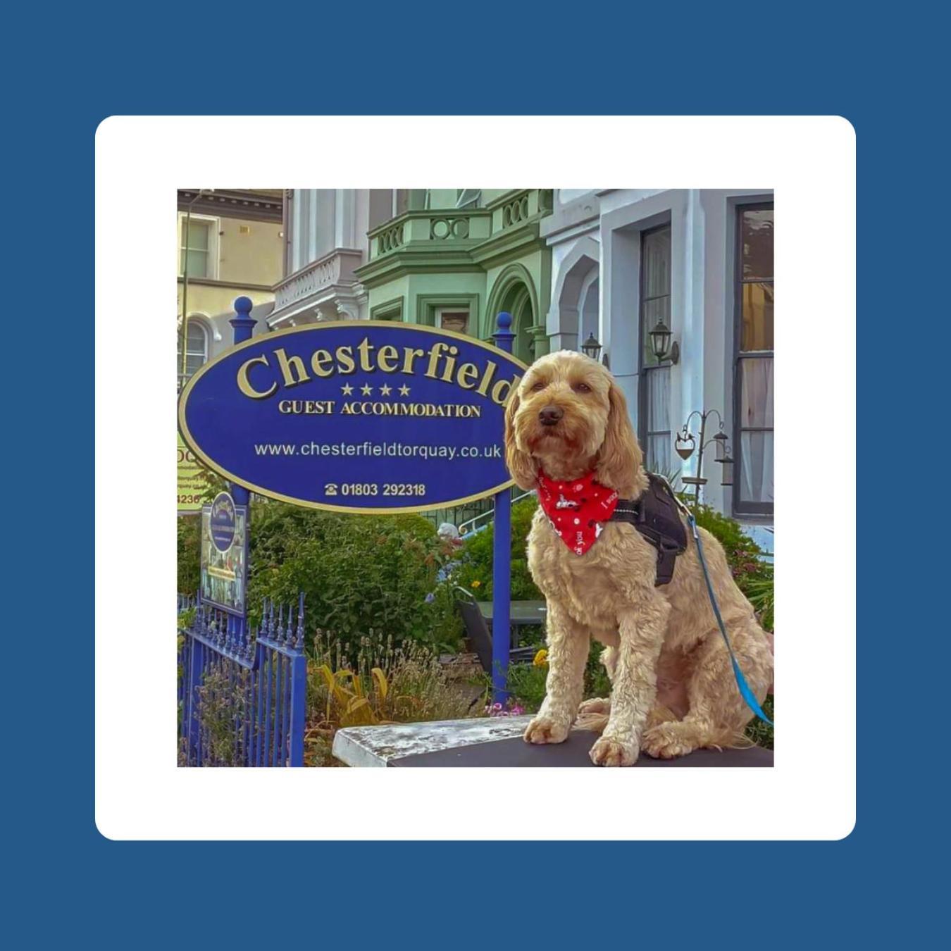 The Chesterfield, Torquay (Adults Only) Exteriör bild